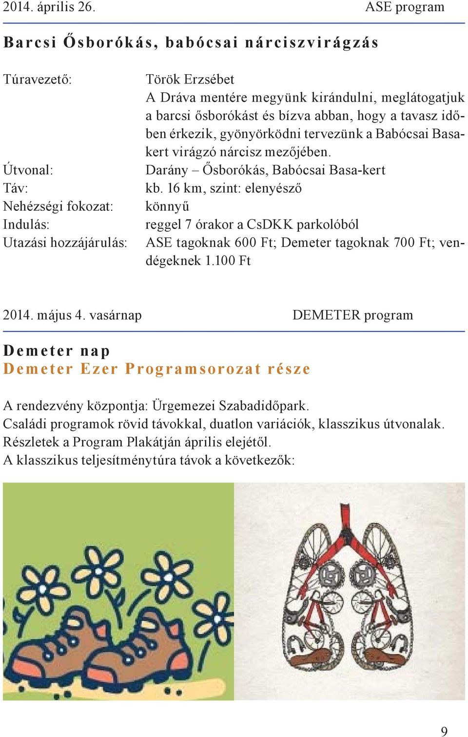 abban, hogy a tavasz időben érkezik, gyönyörködni tervezünk a Babócsai Basakert virágzó nárcisz mezőjében. Darány Ősborókás, Babócsai Basa-kert kb.