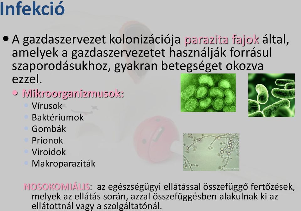 Mikroorganizmusok: Vírusok Baktériumok Gombák Prionok Viroidok Makroparaziták NOSOKOMIÁLIS: az