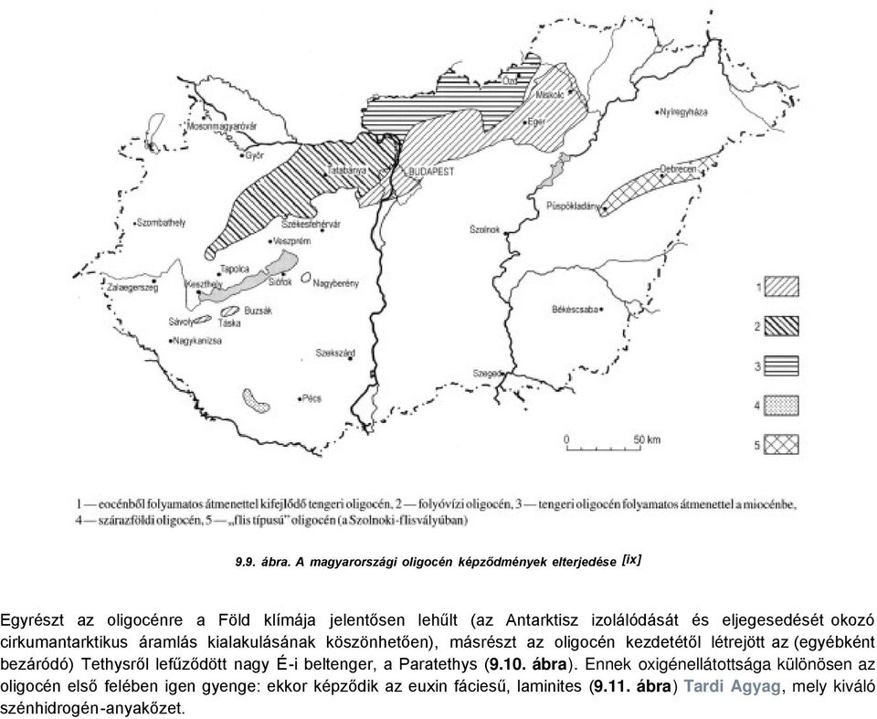 izolálódását és eljegesedését okozó cirkumantarktikus áramlás kialakulásának köszönhetően), másrészt az oligocén kezdetétől létrejött