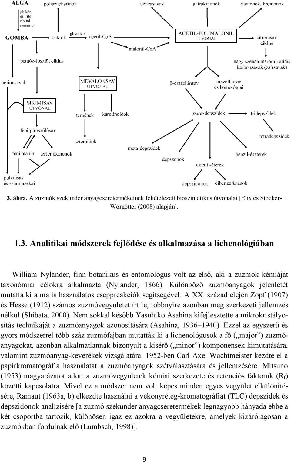 század elején Zopf (1907) és Hesse (1912) számos zuzmóvegyületet írt le, többnyire azonban még szerkezeti jellemzés nélkül (Shibata, 2000).