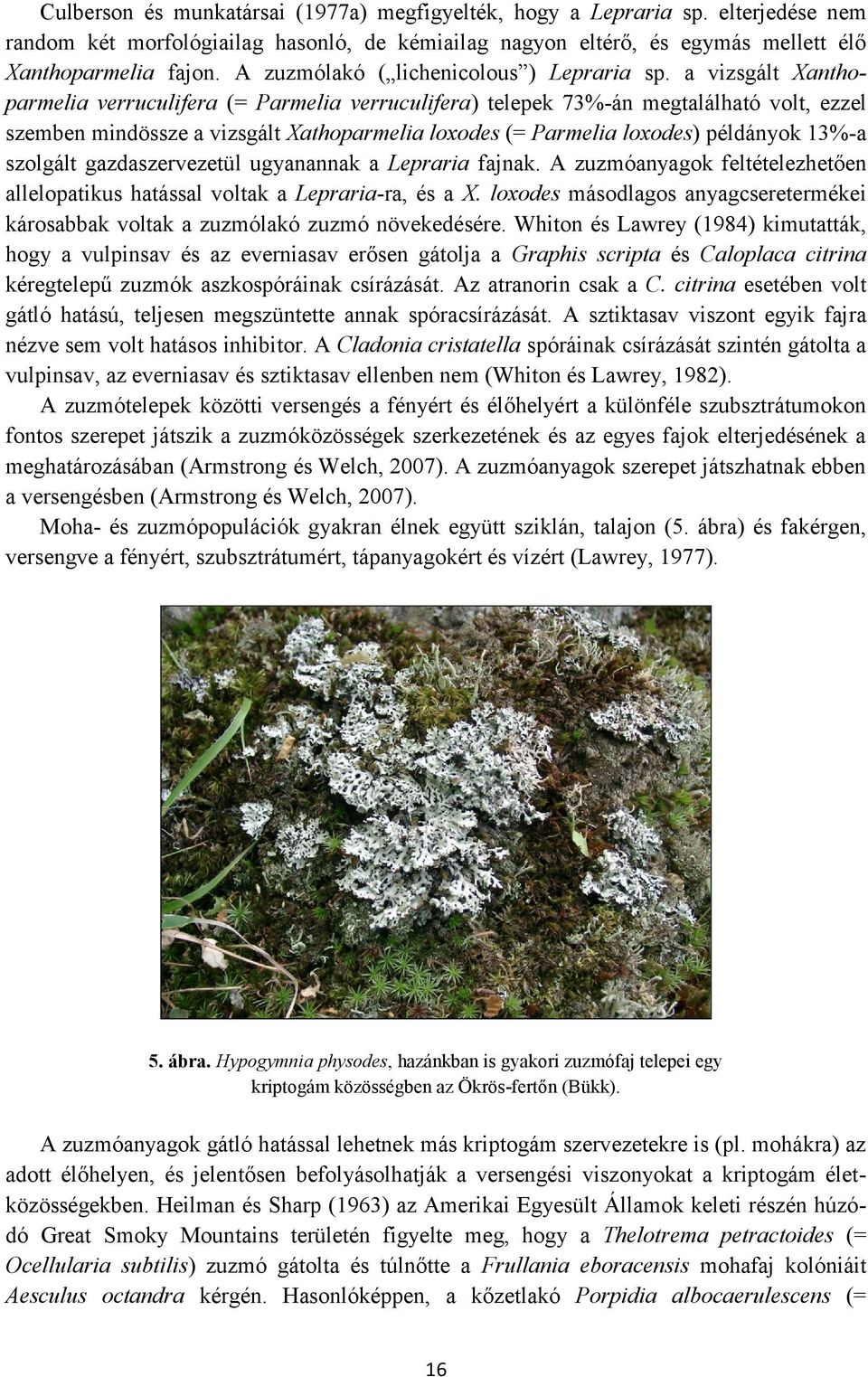 a vizsgált Xanthoparmelia verruculifera (= Parmelia verruculifera) telepek 73%-án megtalálható volt, ezzel szemben mindössze a vizsgált Xathoparmelia loxodes (= Parmelia loxodes) példányok 13%-a