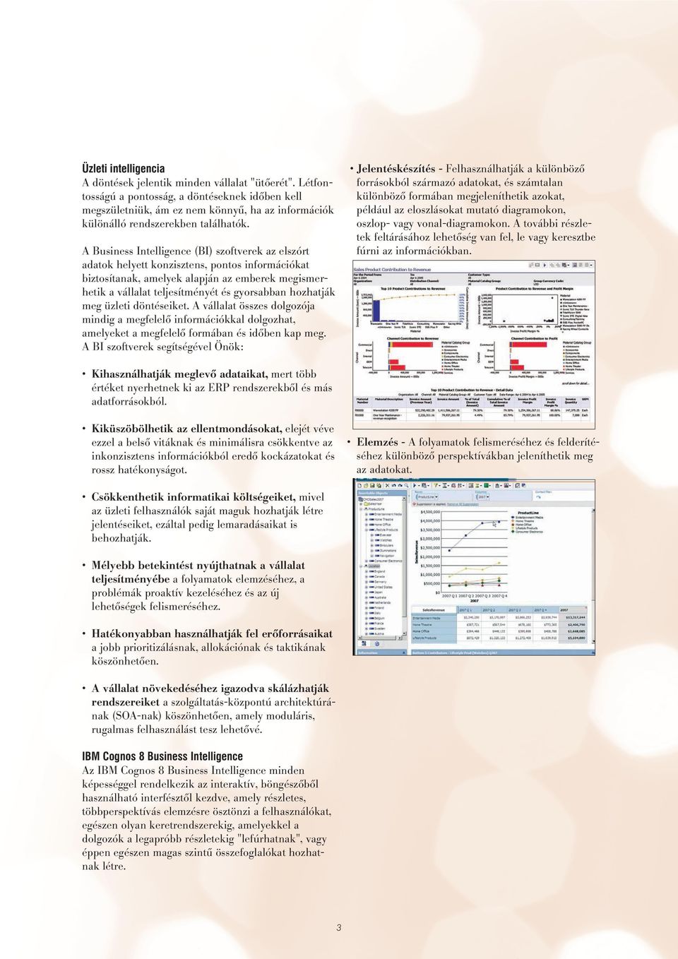 A Business Intelligence (BI) szoftverek az elszórt adatok helyett konzisztens, pontos információkat biztosítanak, amelyek alapján az emberek megismerhetik a vállalat teljesítményét és gyorsabban