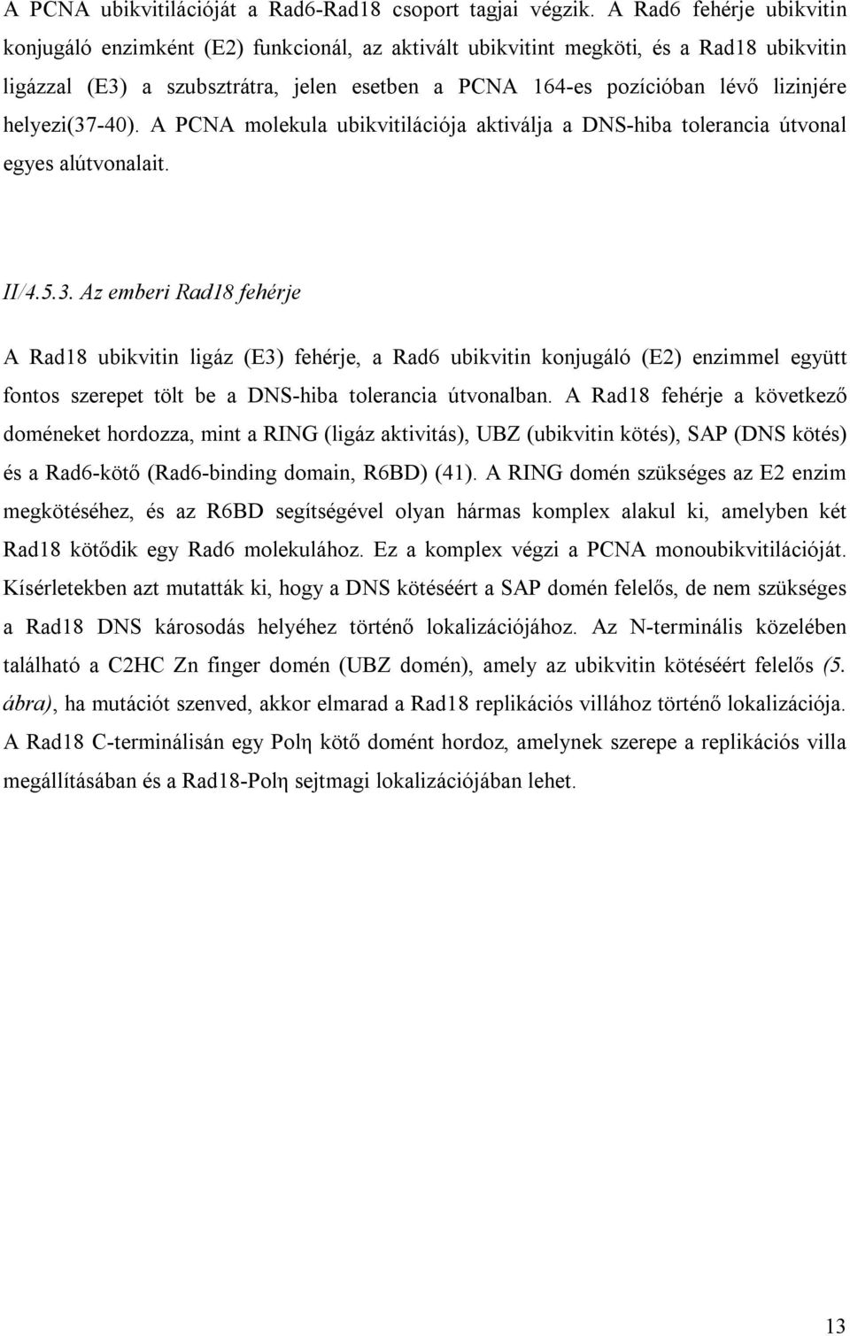 helyezi(37-40). A PCNA molekula ubikvitilációja aktiválja a DNS-hiba tolerancia útvonal egyes alútvonalait. II/4.5.3. Az emberi Rad18 fehérje A Rad18 ubikvitin ligáz (E3) fehérje, a Rad6 ubikvitin konjugáló (E2) enzimmel együtt fontos szerepet tölt be a DNS-hiba tolerancia útvonalban.