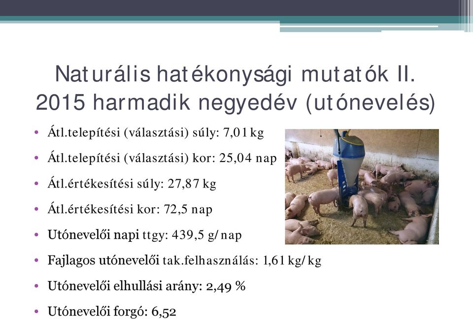 értékesítési súly: 27,87 kg Átl.