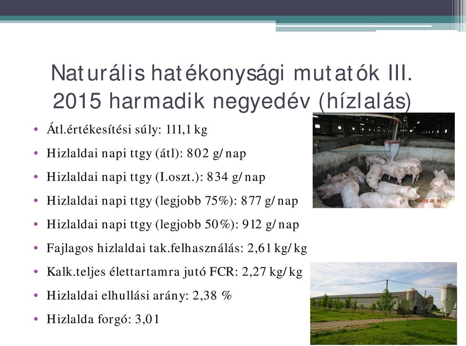 ): 834 g/nap Hizlaldai napi ttgy (legjobb 75%): 877 g/nap Hizlaldai napi ttgy (legjobb 50%): 912 g/nap