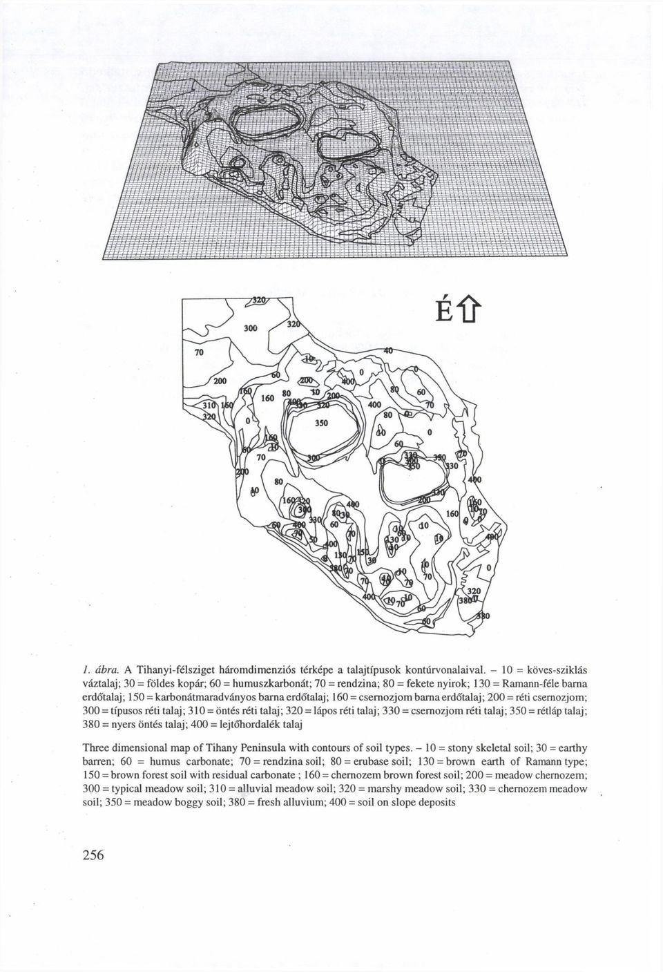 csernozjom barna erdőtalaj; 200 = réti csernozjom; 300 = típusos réti talaj; 310 = öntés réti talaj; 320 = lápos réti talaj; 330 = csernozjom réti talaj; 350 = rétláp talaj; 380 = nyers öntés talaj;