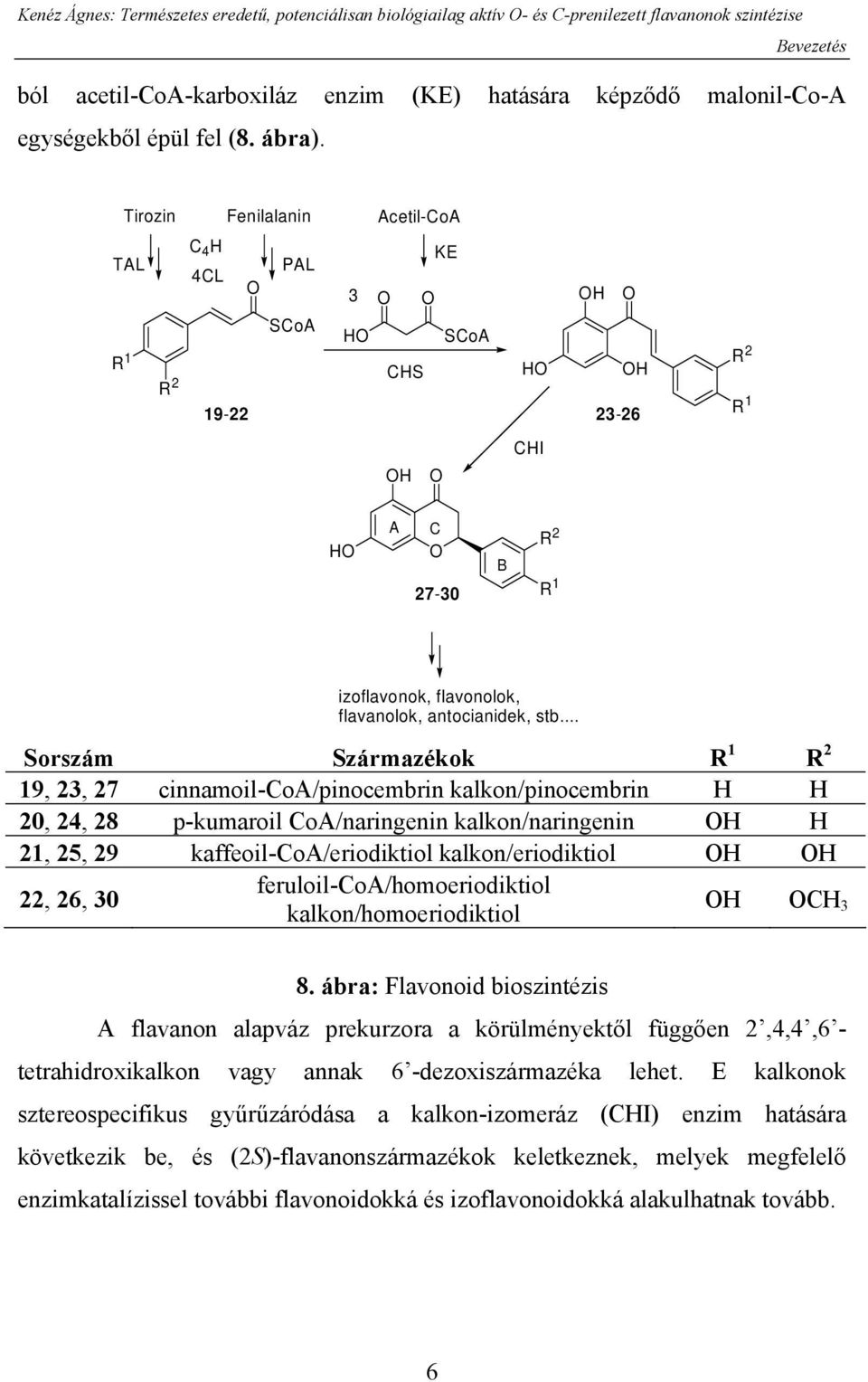 Tirozin Fenilalanin Acetil-CoA C 4 H KE TAL PAL 4CL 3 SCoA H SCoA R 1 R 2 CHS H H H R 2 19-22 23-26 R 1 CHI H H A C 27-30 B R 2 R 1 izoflavonok, flavonolok, flavanolok, antocianidek, stb.