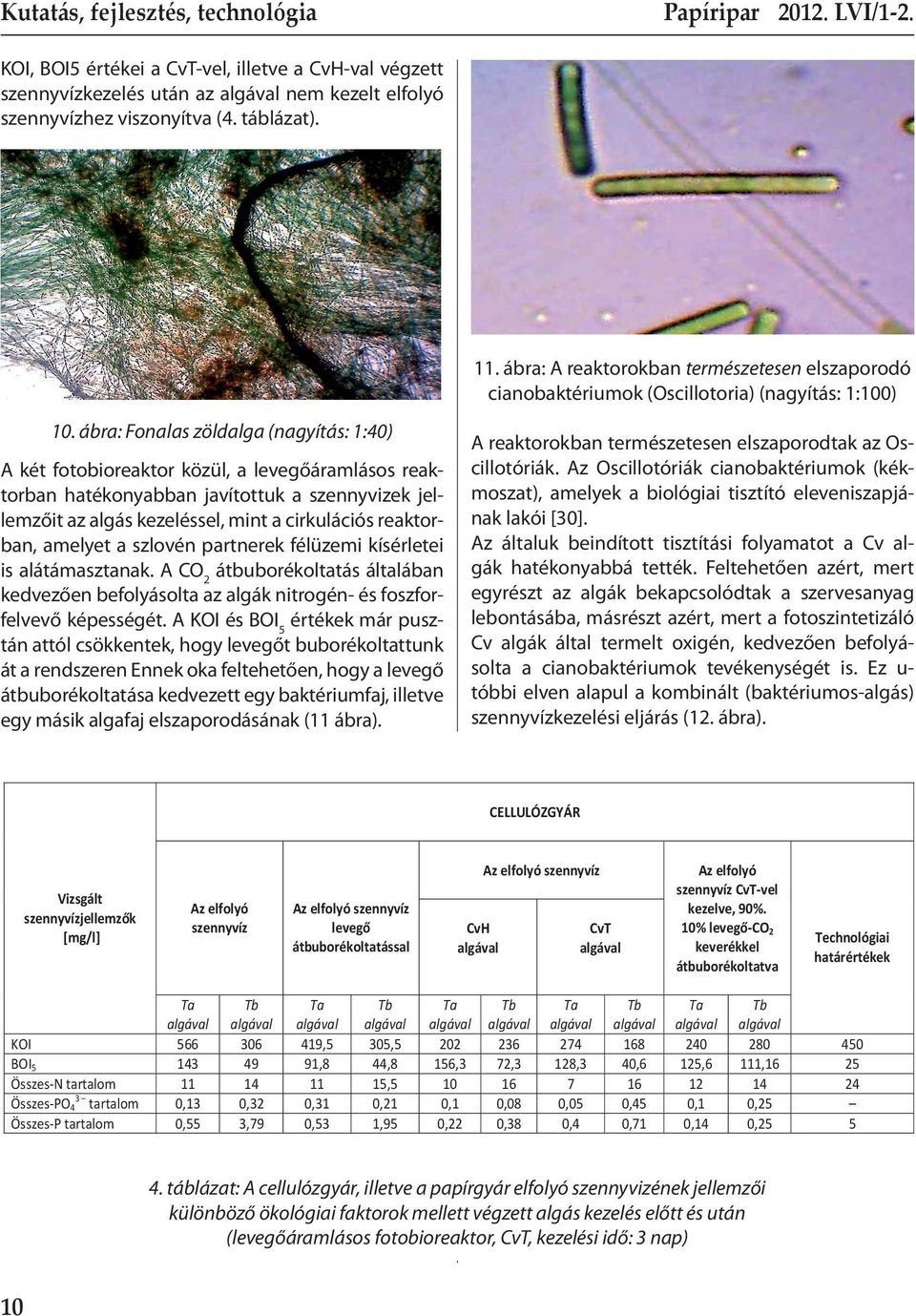 ábra: Fonalas zöldalga (nagyítás: 1:40) A két fotobioreaktor közül, a levegőáramlásos reaktorban hatékonyabban javítottuk a szennyvizek jellemzőit az algás kezeléssel, mint a cirkulációs reaktorban,