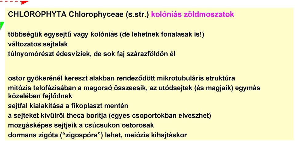 struktúra mitózis telofázisában a magorsó összeesik, az utódsejtek (és magjaik) egymás közelében fejlődnek sejtfal kialakítása a fikoplaszt