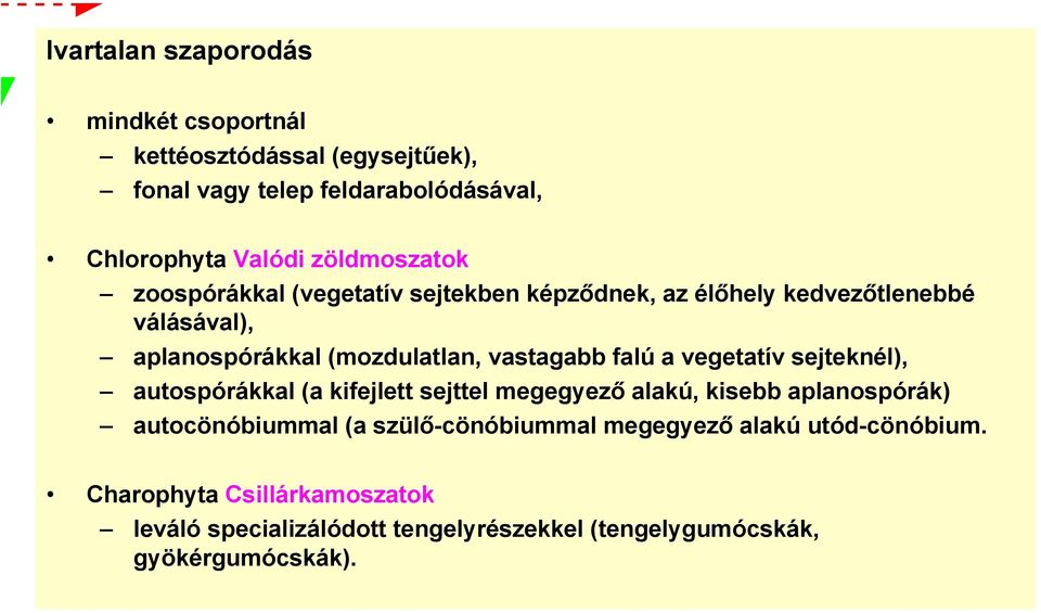 vastagabb falú a vegetatív sejteknél), autospórákkal (a kifejlett sejttel megegyező alakú, kisebb aplanospórák) autocönóbiummal (a