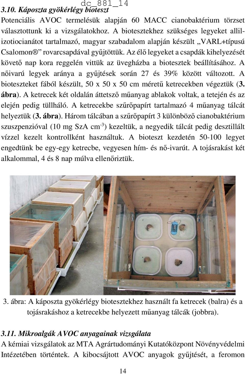 Az élő legyeket a csapdák kihelyezését követő nap kora reggelén vittük az üvegházba a biotesztek beállításához. A nőivarú legyek aránya a gyűjtések során 27 és 39% között változott.