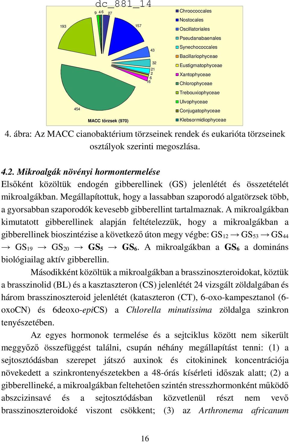 A mikroalgákban kimutatott gibberellinek alapján feltételezzük, hogy a mikroalgákban a gibberellinek bioszintézise a következő úton megy végbe: GS 12 GS 53 GS 44 GS 19 GS 20 GS 5 GS 6.