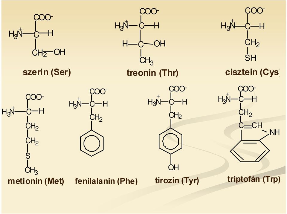 - C H C H 2 + H 3 N COO- C H COO- C H + H 3 N C OO- C H C CH N H S