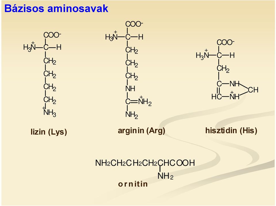 N COO- C H COO- C H C HC NH + NH CH lizin (Lys)