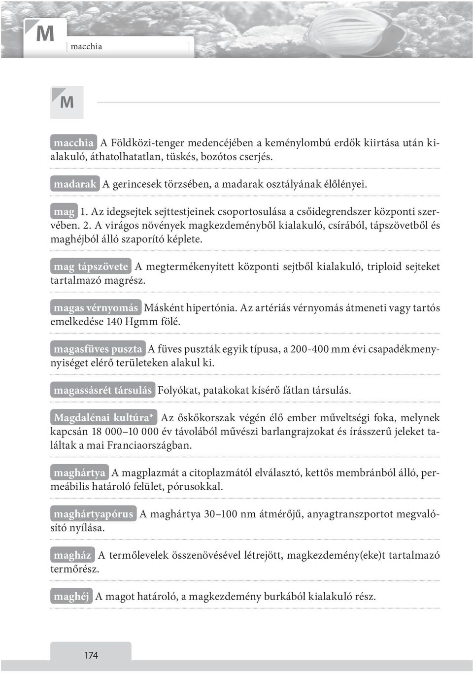 A virágos növények magkezdeményből kialakuló, csírából, tápszövetből és maghéjból álló szaporító képlete.