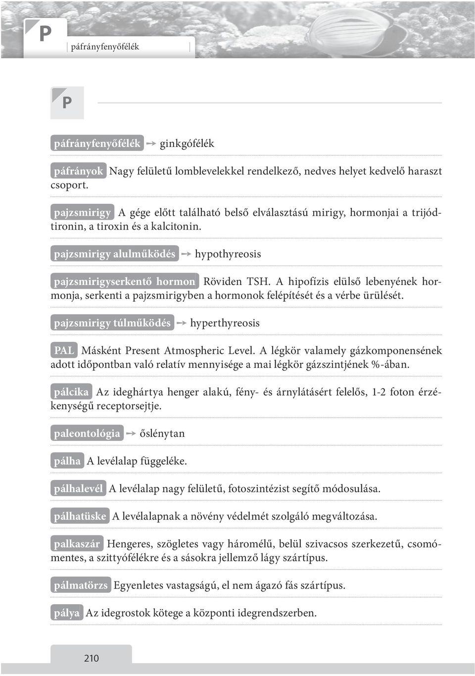 A hipofízis elülső lebenyének hormonja, serkenti a pajzsmirigyben a hormonok felépítését és a vérbe ürülését. (pajzsmirigy túlműködés) hyperthyreosis (PAL) Másként Present Atmospheric Level.