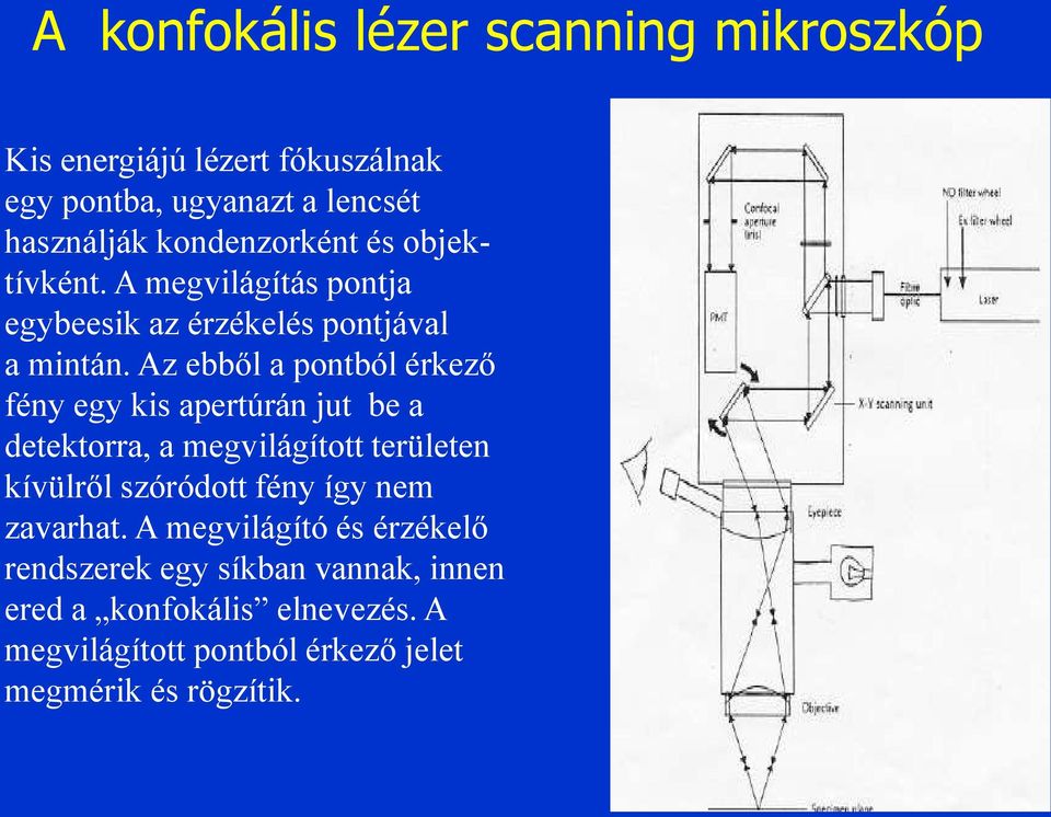 Az ebből a pontból érkező fény egy kis apertúrán jut be a detektorra, a megvilágított területen kívülről szóródott fény így