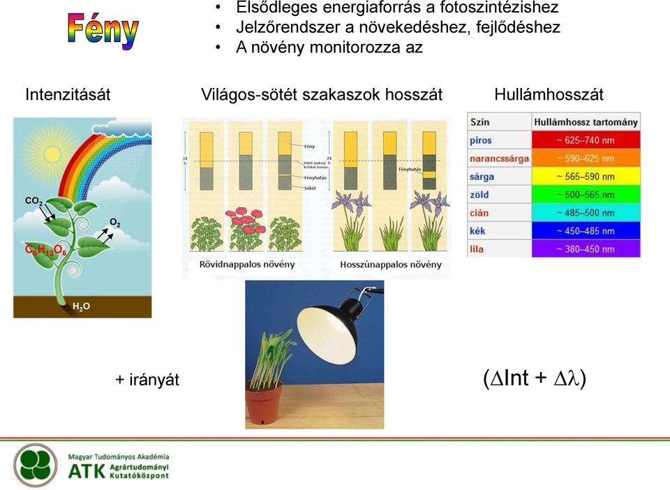 monitorozza az Intenzitását Világos-sötét szakaszok