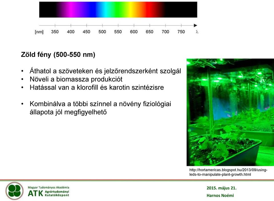 szintézisre Kombinálva a többi színnel a növény fiziológiai állapota jól