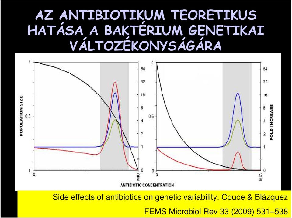 effects of antibiotics on genetic