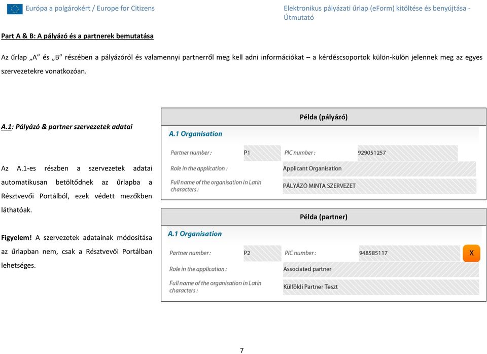 1: Pályázó & partner szervezetek adatai Példa (pályázó) Az A.