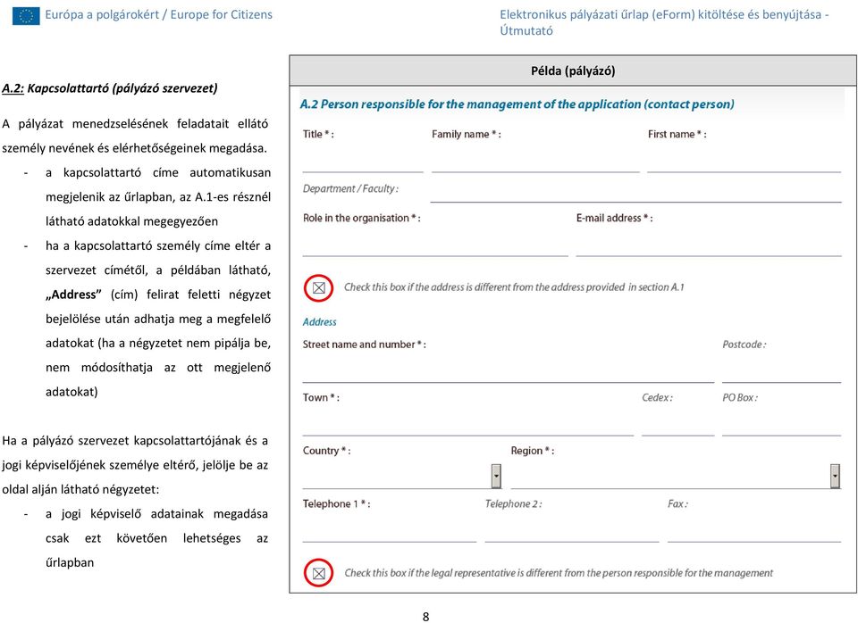 1-es résznél látható adatokkal megegyezően - ha a kapcsolattartó személy címe eltér a szervezet címétől, a példában látható, Address (cím) felirat feletti négyzet bejelölése