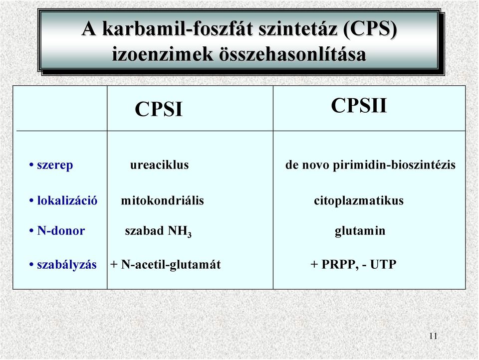 pirimidin-bioszintézis lokalizáció mitokondriális