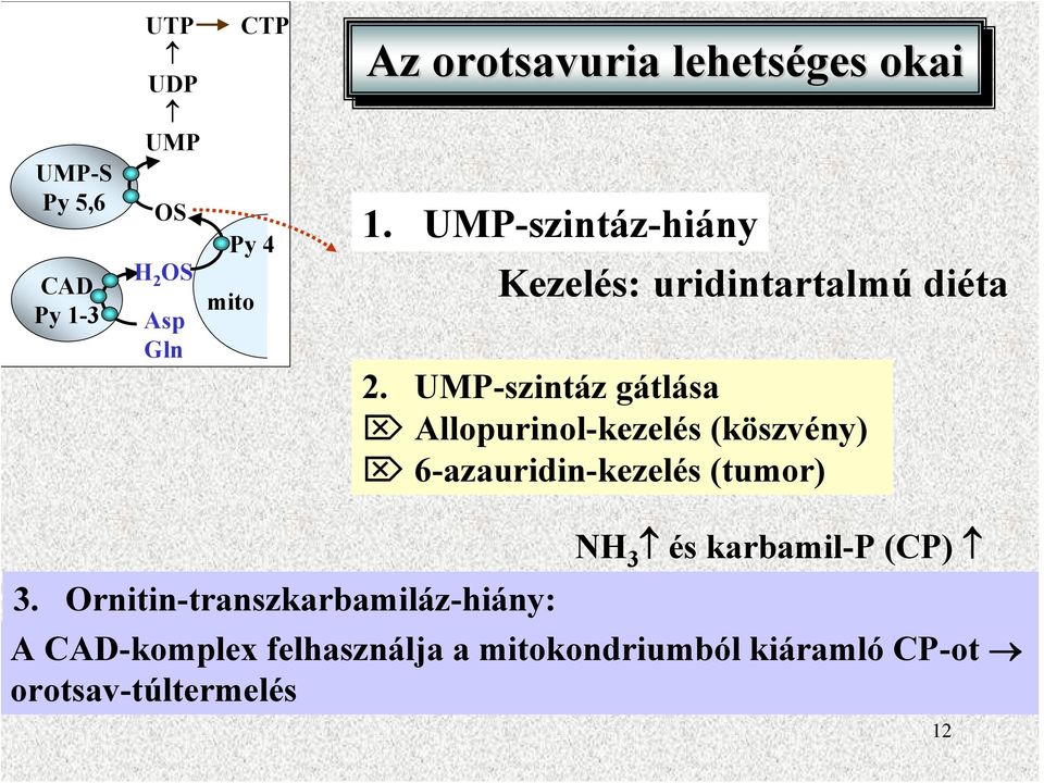 UMP-szintáz gátlása Allopurinol-kezelés (köszvény) 6-azauridin-kezelés (tumor) NH 3 és