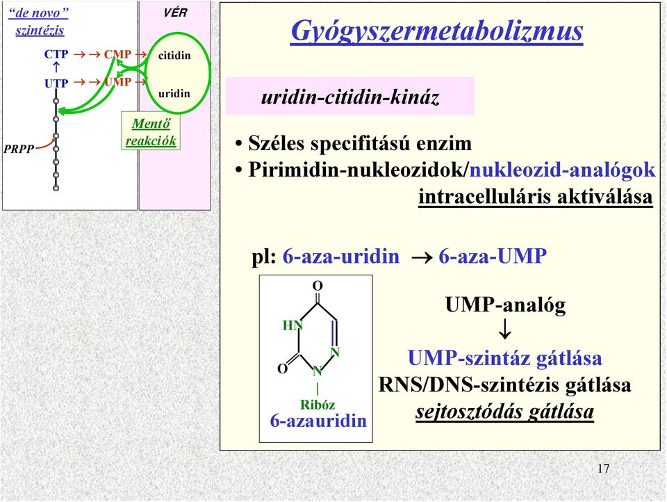 Pirimidin-nukleozidok/nukleozid-analógok intracelluláris aktiválása pl: 6-aza-uridin