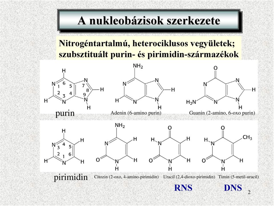 (6-amino purin) Guanin (2-amino, 6-oxo purin) pirimidin Citozin