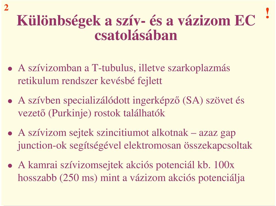 specializálódott ingerképzı (SA) szövet és vezetı (Purkinje) rostok találhatók A szívizom sejtek