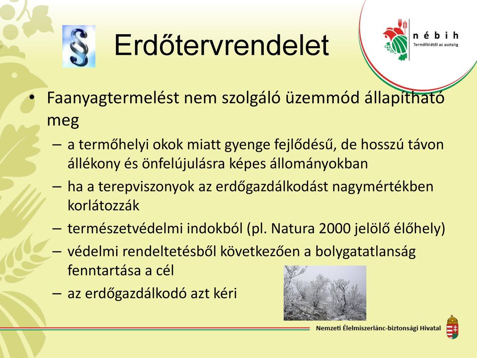 az erdőgazdálkodást nagymértékben korlátozzák természetvédelmi indokból (pl.