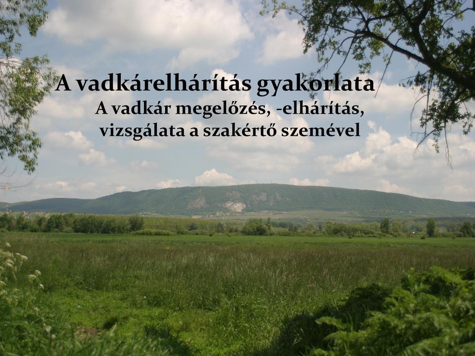 megelőzés, -elhárítás,