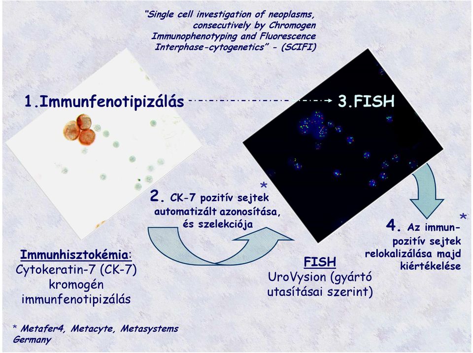 FISH Immunhisztokémia: Cytokeratin-7 (CK-7) kromogén immunfenotipizálás * 2.