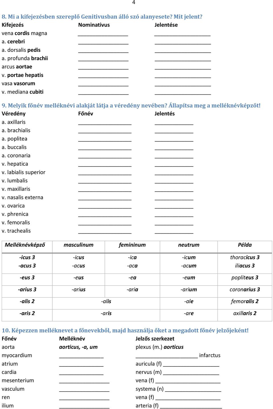 poplitea a. buccalis a. coronaria v. hepatica v. labialis superior v. lumbalis v. maxillaris v. nasalis externa v. ovarica v. phrenica v. femoralis v.