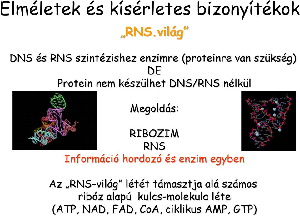 készülhet DNS/RNS nélkül Megoldás: RIBOZIM RNS Információ hordozó és enzim