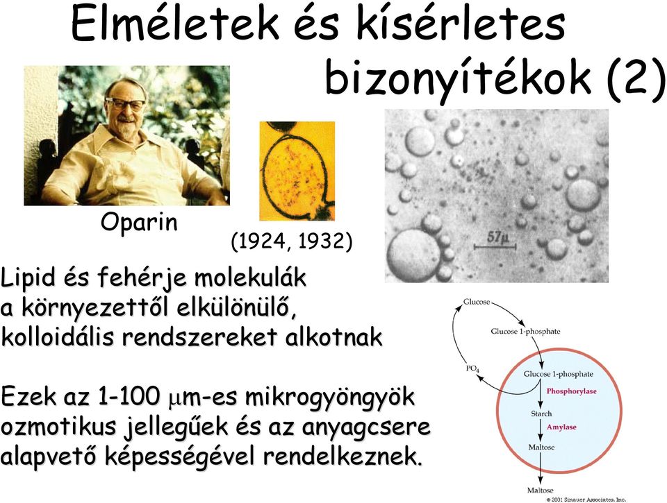 kolloidális rendszereket alkotnak Ezek az 1-1001 100 µm-es