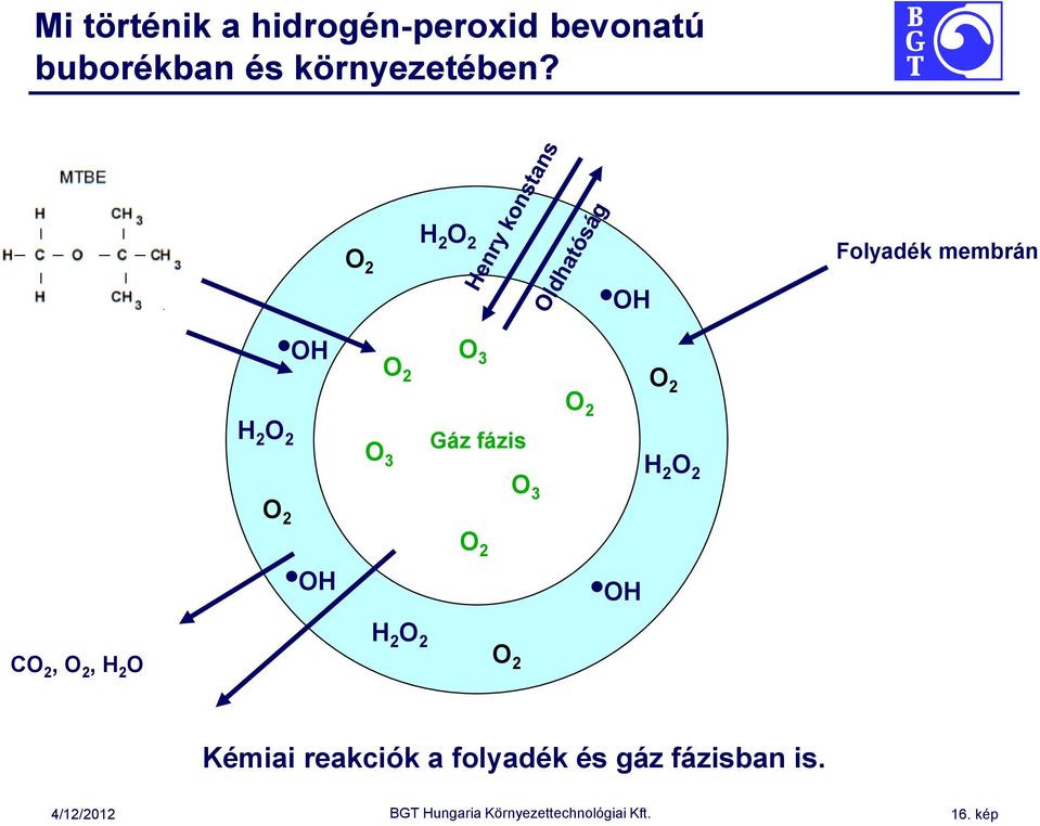 O 2 H 2 O 2 Folyadék membrán OH OH O 3 O 2 O 2 O 2 H 2 O 2 O 3