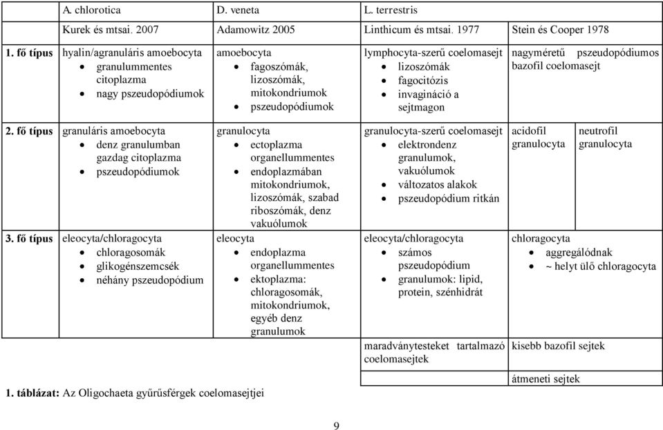 fagocitózis invagináció a sejtmagon nagyméretű pszeudopódiumos bazofil coelomasejt 2. fő típus granuláris amoebocyta denz granulumban gazdag citoplazma pszeudopódiumok 3.