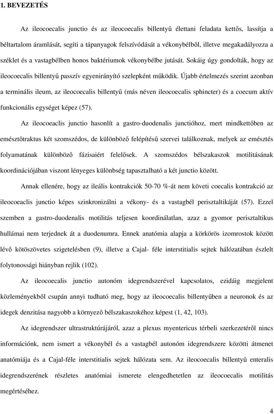 Újabb értelmezés szerint azonban a terminális ileum, az ileocoecalis billentyő (más néven ileocoecalis sphincter) és a coecum aktív funkcionális egységet képez (57).