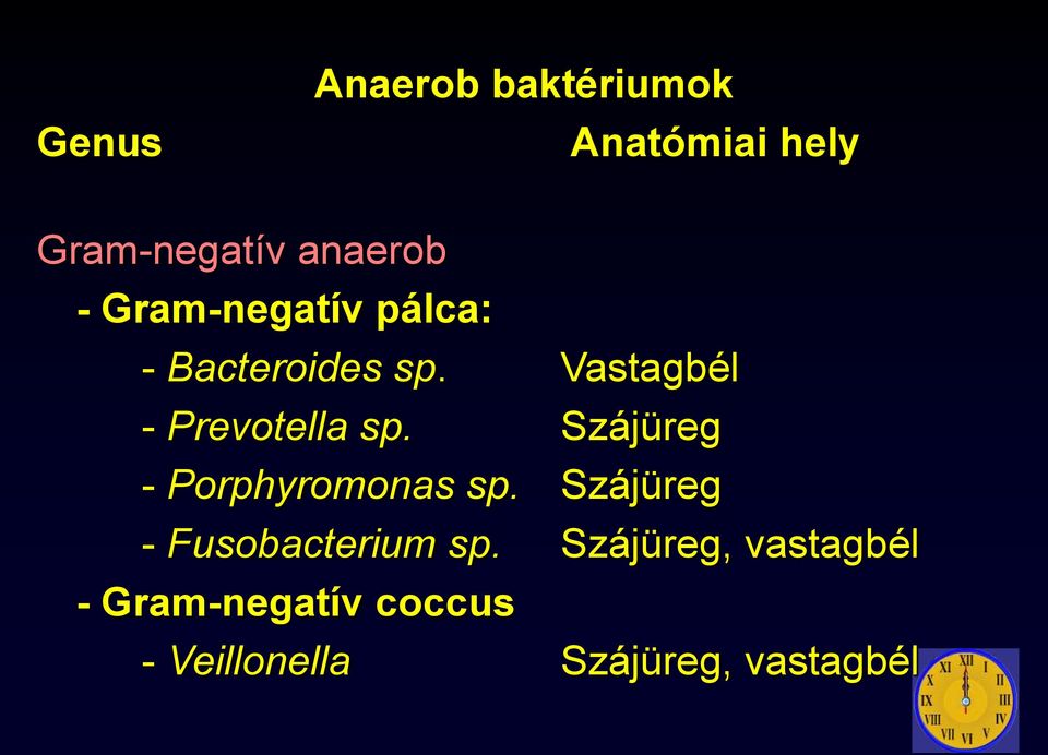 Szájüreg - Porphyromonas sp. Szájüreg - Fusobacterium sp.