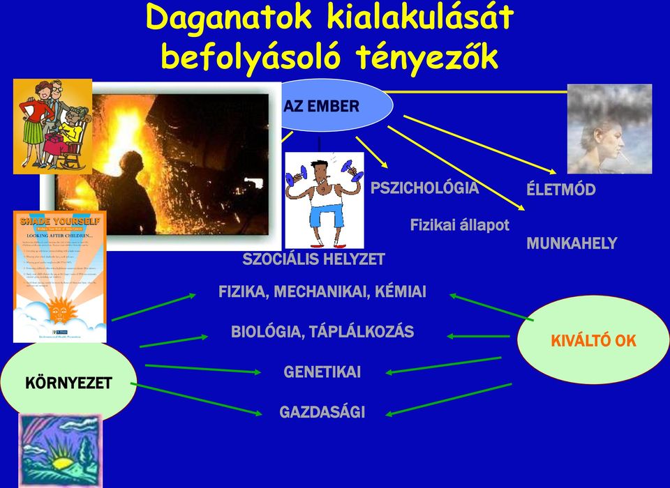 HELYZET Fizikai állapot MUNKAHELY FIZIKA, MECHANIKAI,