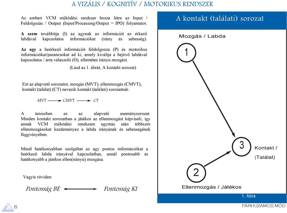 A The szem eyes input továbbítj visul (I) informtion z gynk to the z brin információt bout the z direction lbdávl nd speed kpcsoltos of the bll s információkt movement.