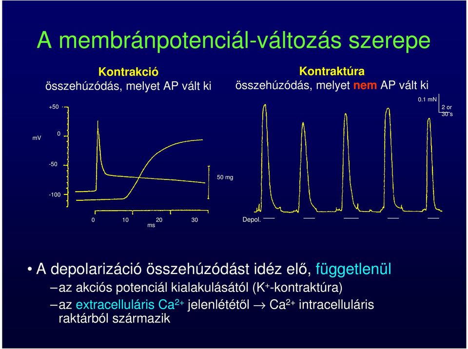 1 mn 2 or 30 s mv 0-50 50 mg -100 0 10 20 30 ms Depol.