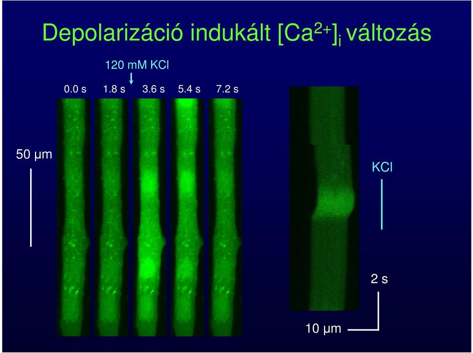 mm KCl 0.0 s 1.8 s 3.