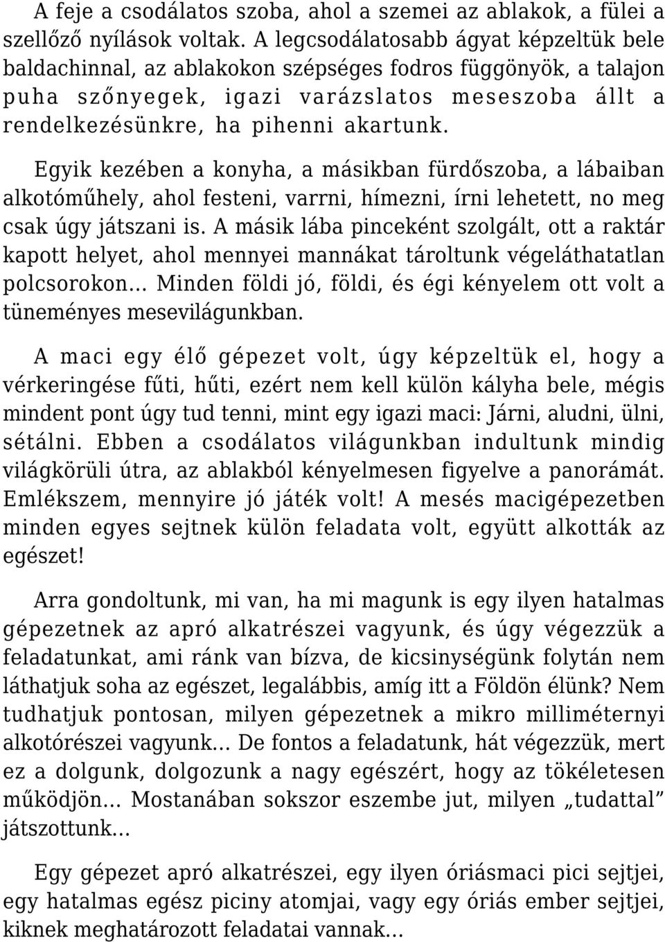 Egyik kezében a konyha, a másikban fürdőszoba, a lábaiban alkotóműhely, ahol festeni, varrni, hímezni, írni lehetett, no meg csak úgy játszani is.