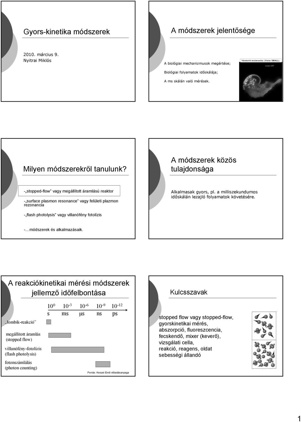 módszerek közös tulajdonsága - stopped-flow vagy megállított áramlású reaktor - surface plasmon resonance vagy felületi plazmon rezonancia lkalmasak gyors, pl.