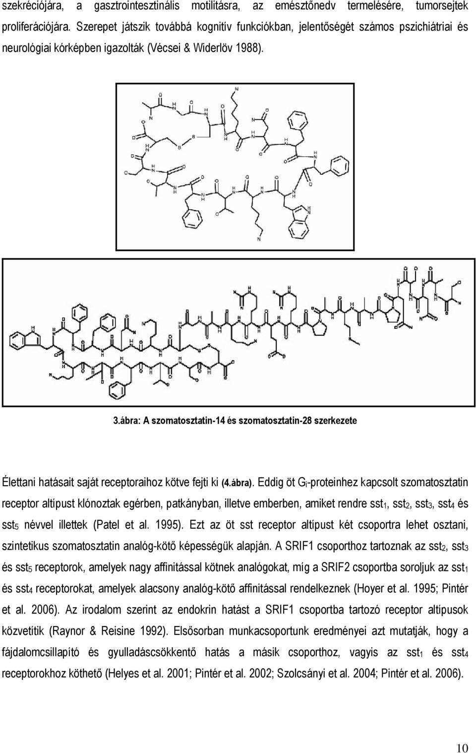 ábra: A szomatosztatin-14 és szomatosztatin-28 szerkezete Élettani hatásait saját receptoraihoz kötve fejti ki (4.ábra).