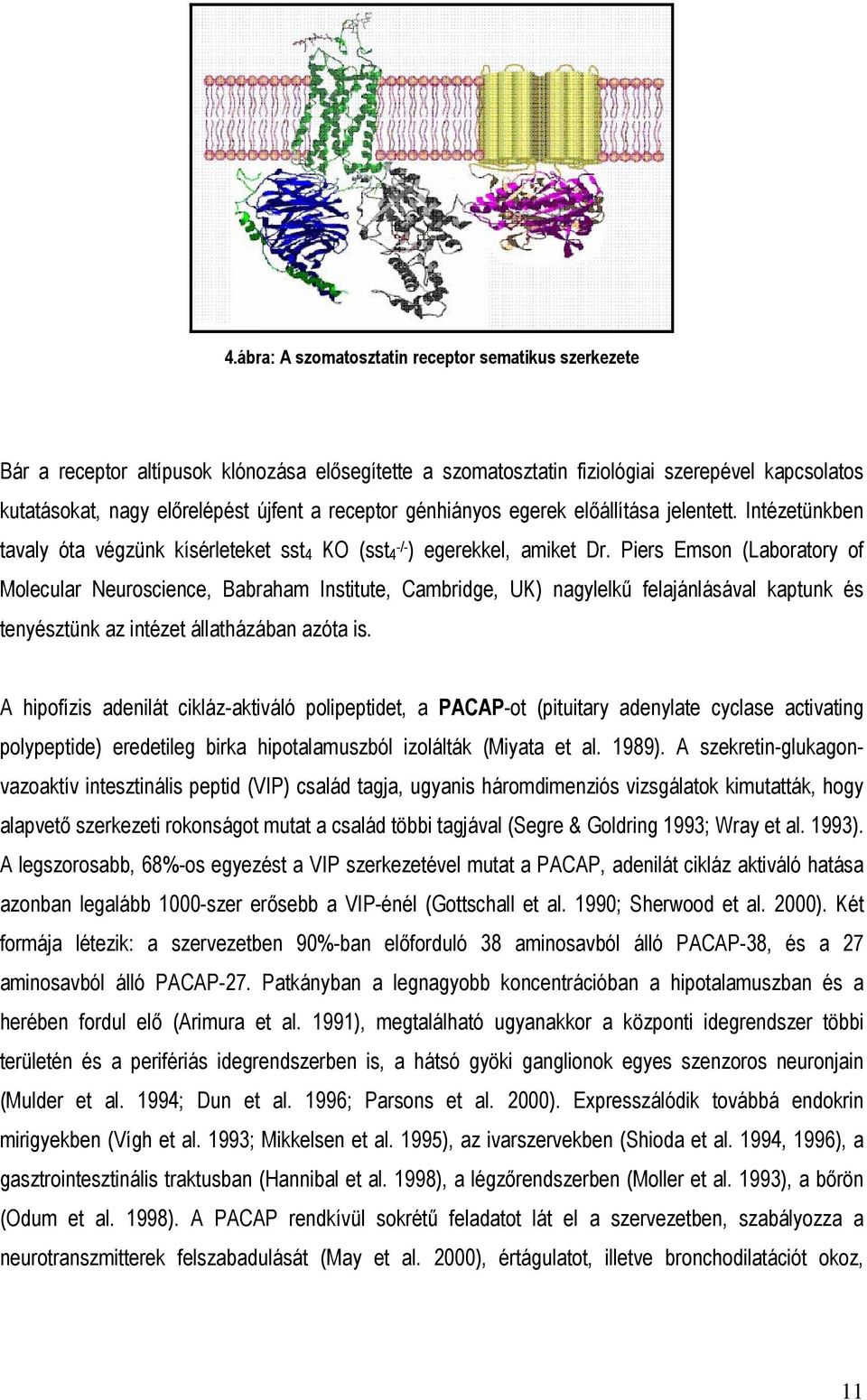 Piers Emson (Laboratory of Molecular Neuroscience, Babraham Institute, Cambridge, UK) nagylelkű felajánlásával kaptunk és tenyésztünk az intézet állatházában azóta is.