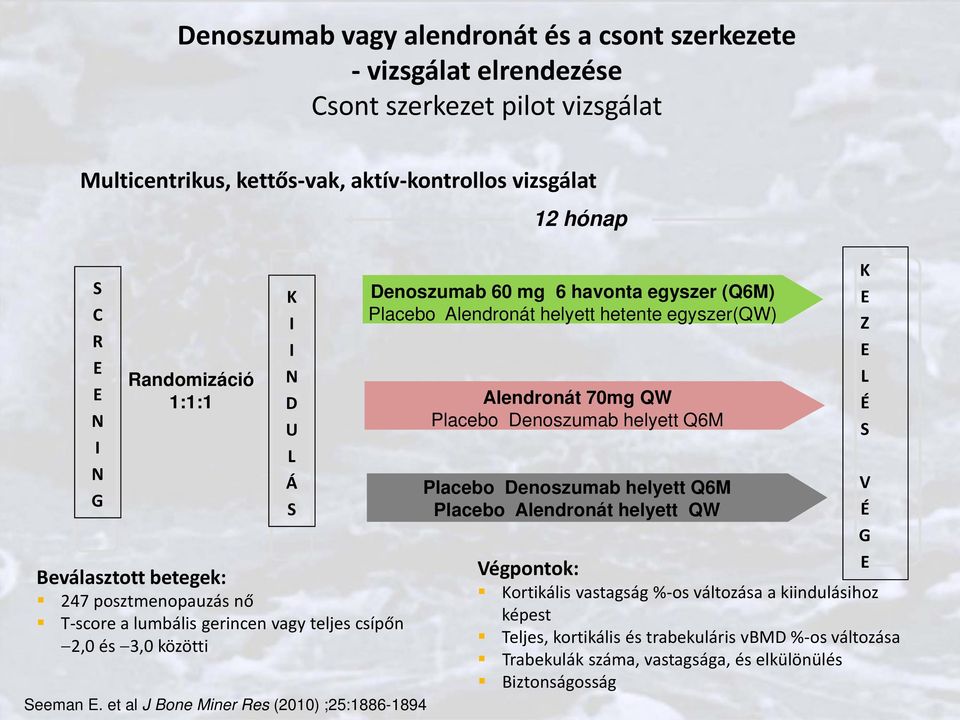 et al J Bone Miner Res (2010) ;25:1886-1894 K I I N D U L Á S 12 hónap Denoszumab 60 mg 6 havonta egyszer (Q6M) Placebo Alendronát helyett hetente egyszer(qw) Alendronát 70mg QW Placebo Denoszumab